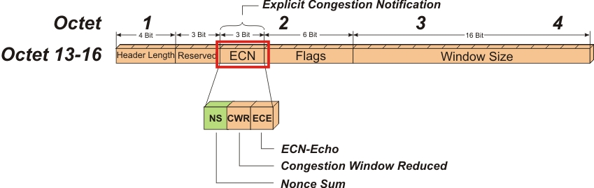 protocol help 2 0 0 ecn