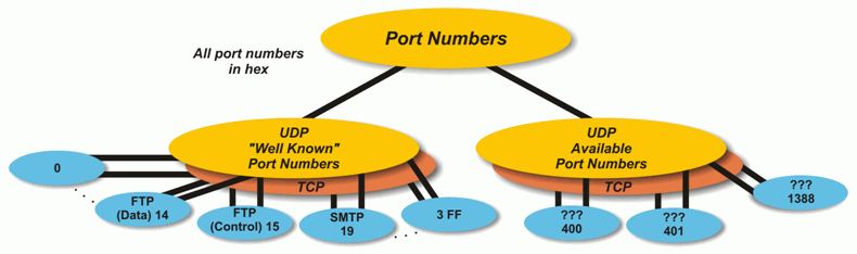 screens 4 public udp ports screens 4 public udp ports